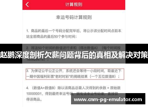 赵鹏深度剖析欠薪问题背后的真相及解决对策