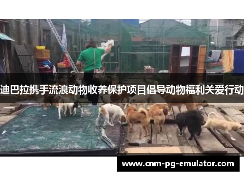 迪巴拉携手流浪动物收养保护项目倡导动物福利关爱行动