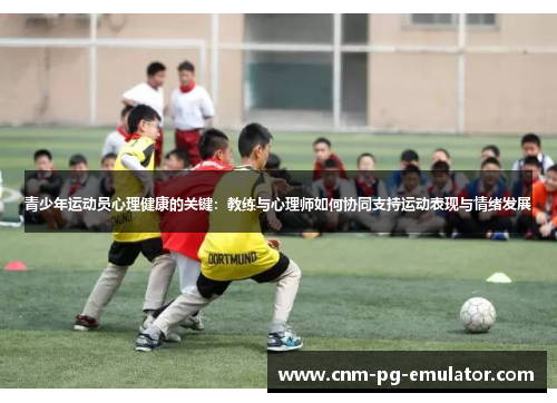 青少年运动员心理健康的关键:教练与心理师如何协同支持运动表现与情绪发展 青少年运动员心理健康的关键:教练与心理师如何协同支持运动表现与情绪发展