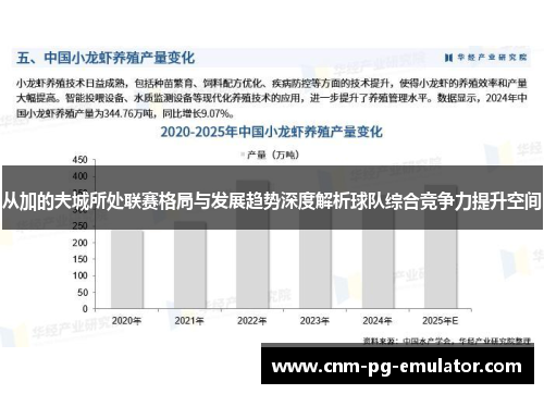 从加的夫城所处联赛格局与发展趋势深度解析球队综合竞争力提升空间
