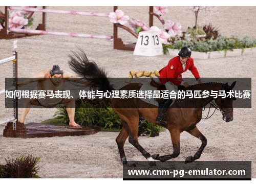 如何根据赛马表现、体能与心理素质选择最适合的马匹参与马术比赛 如何根据赛马表现、体能与心理素质选择最适合的马匹参与马术比赛
