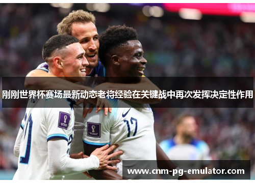刚刚世界杯赛场最新动态老将经验在关键战中再次发挥决定性作用