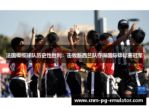 法国橄榄球队历史性胜利：击败新西兰队夺得国际锦标赛冠军