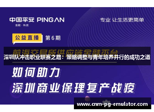 深圳队冲击职业联赛之路：策略调整与青年培养并行的成功之道