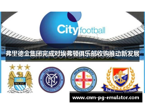 弗里德金集团完成对埃弗顿俱乐部收购推动新发展 弗里德金集团完成对埃弗顿俱乐部收购推动新发展