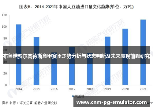 布鲁诺费尔南德斯意甲赛季走势分析与状态判断及未来表现前瞻研究